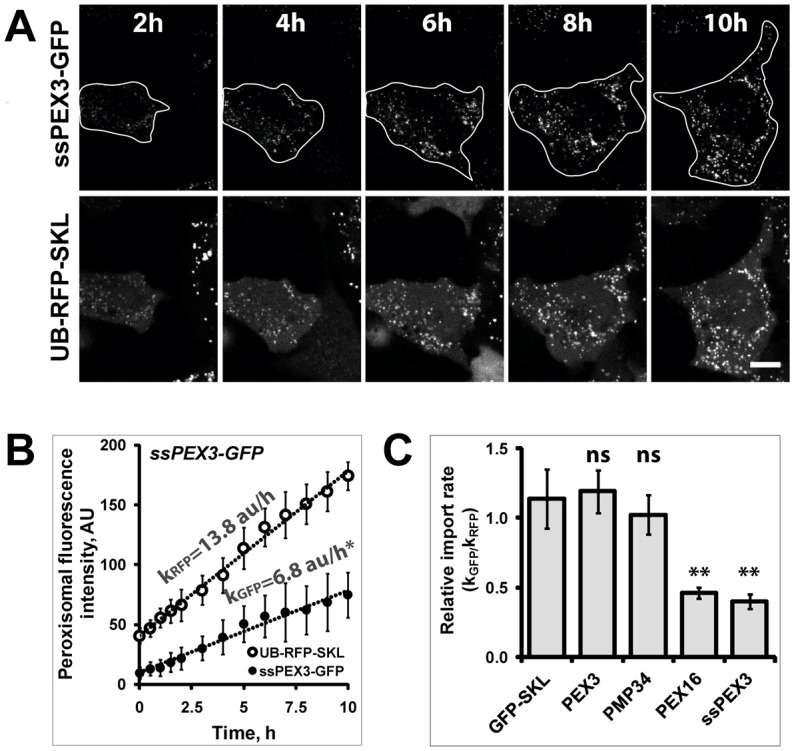 Fig. 4.