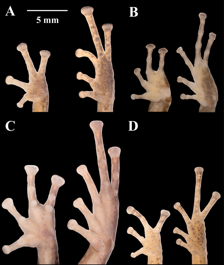 Figure 7.