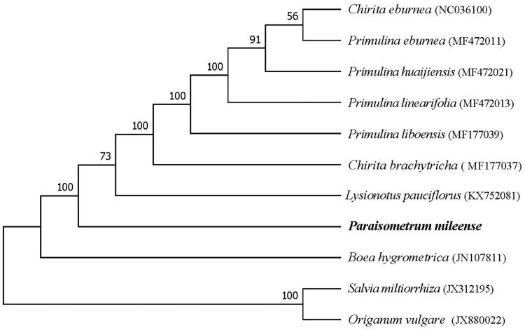 Figure 1.