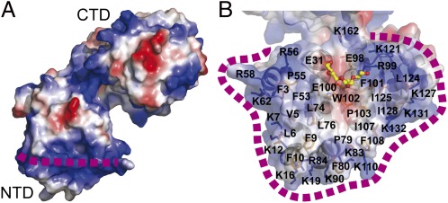 Fig. 2.