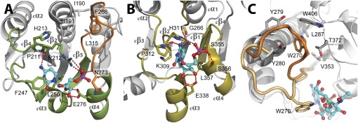 Fig. 4.