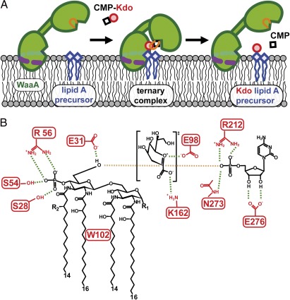 Fig. 6.