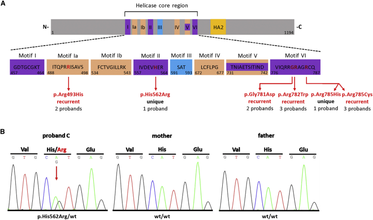 Figure 1