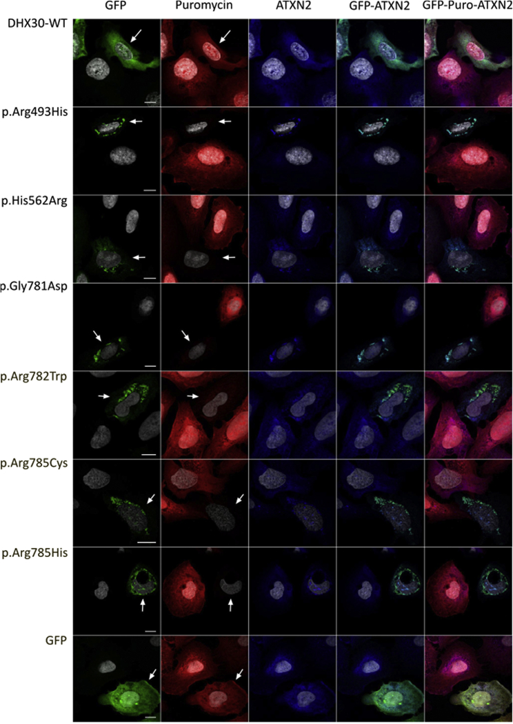 Figure 4