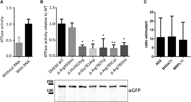 Figure 2