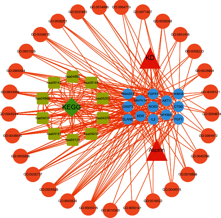 Exploring The Mechanism Of Aspirin In The Treatment Of Kawasaki Disease 