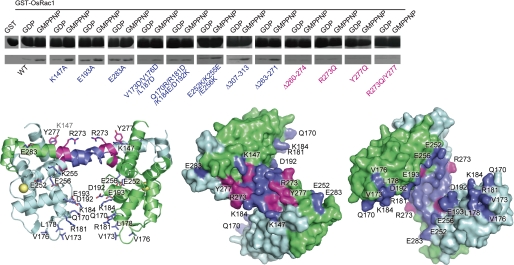 FIGURE 4.