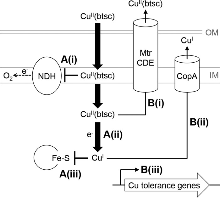 FIG 8