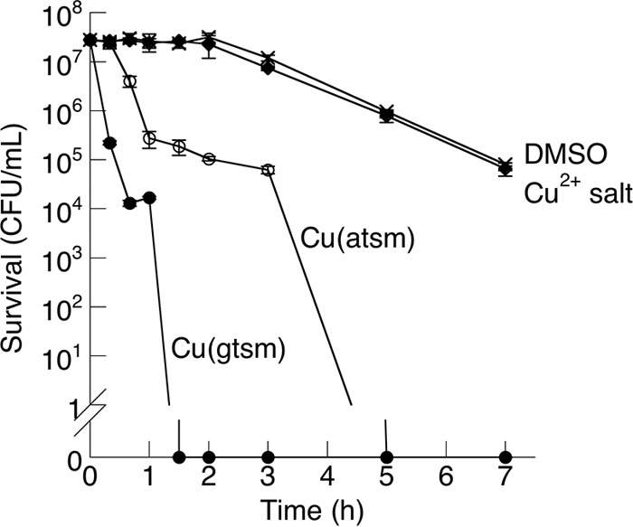 FIG 2