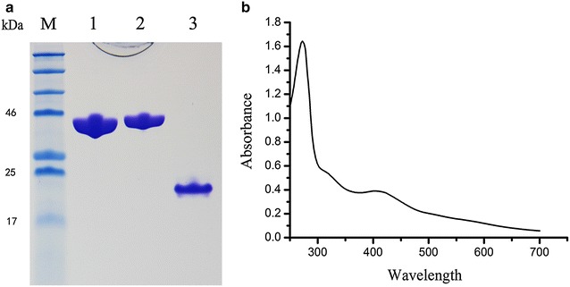 Fig. 3