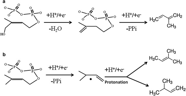 Fig. 7