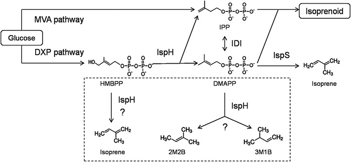 Fig. 1