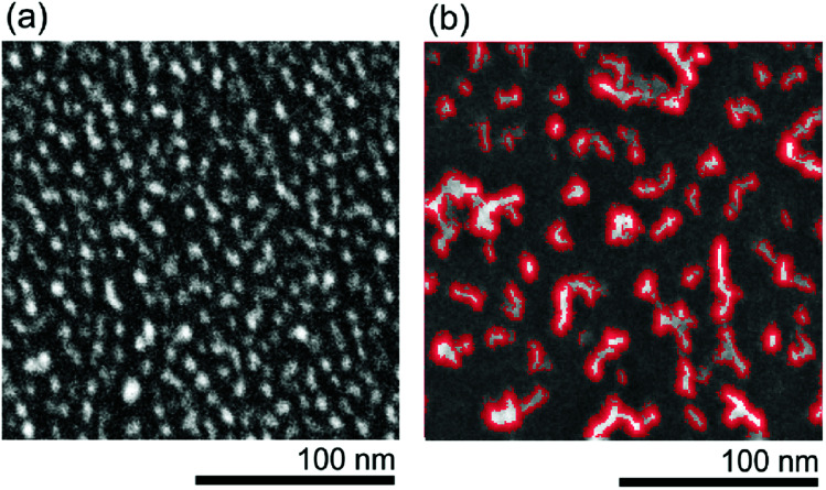 Fig. 10