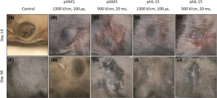 Figure 3: