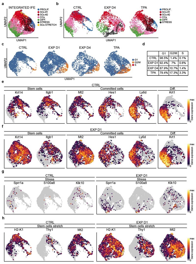 Extended Data Figure 7