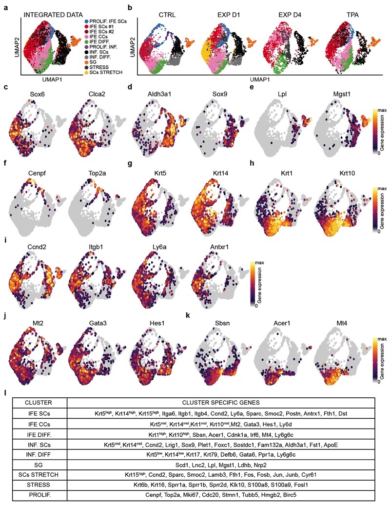 Extended Data Figure 6