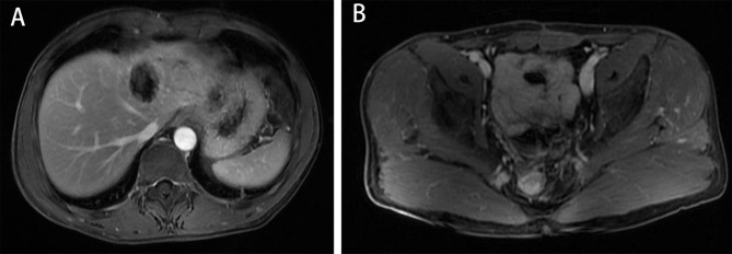 Fig. 8