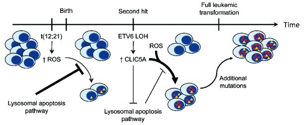 Figure 7.