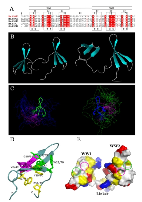 FIGURE 5.