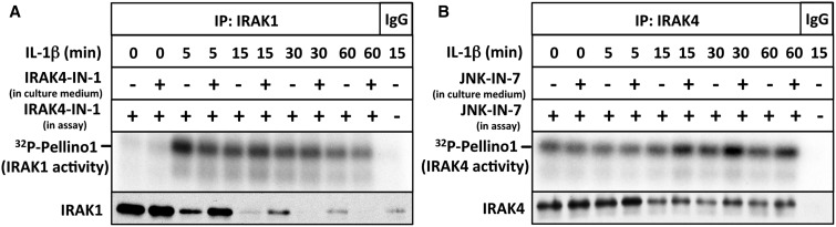 Figure 3.