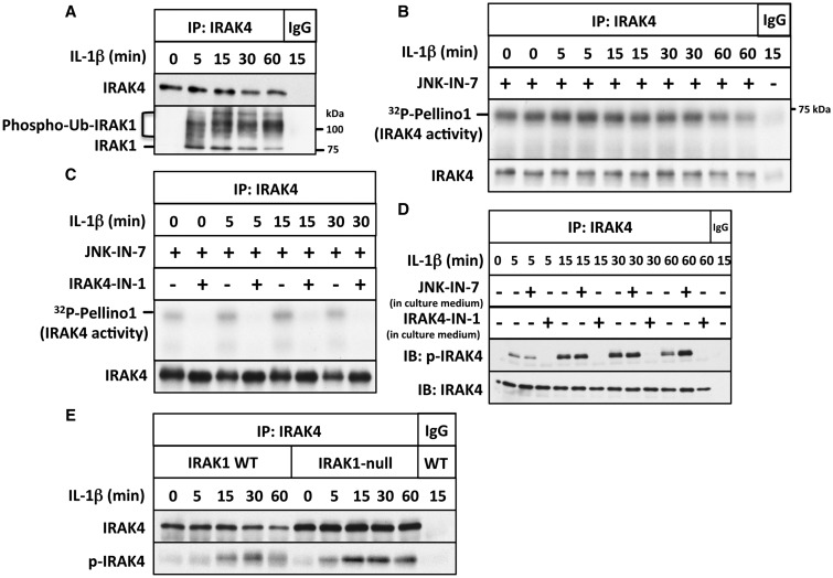 Figure 1.