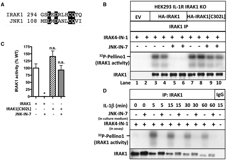 Figure 4.