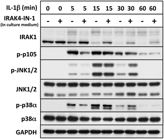 Figure 6.