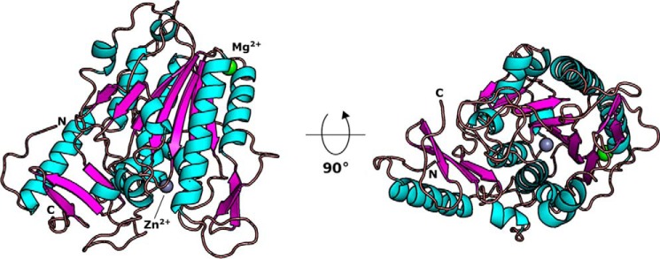 Figure 4.