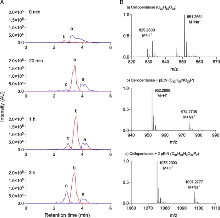 Figure 3.