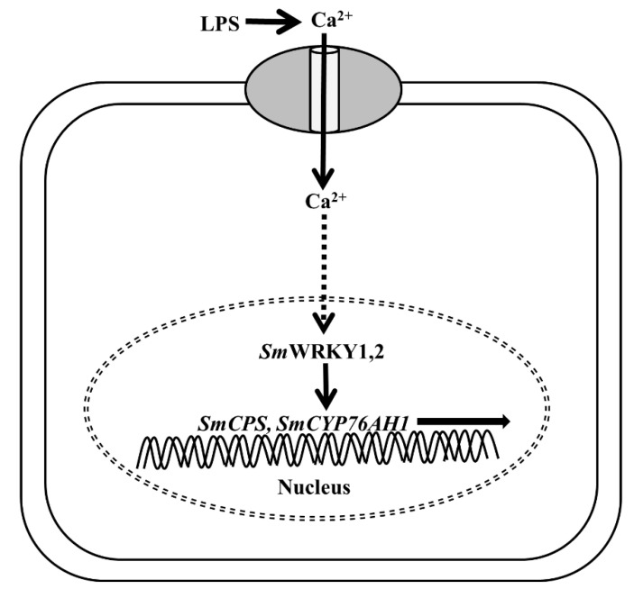 Figure 8