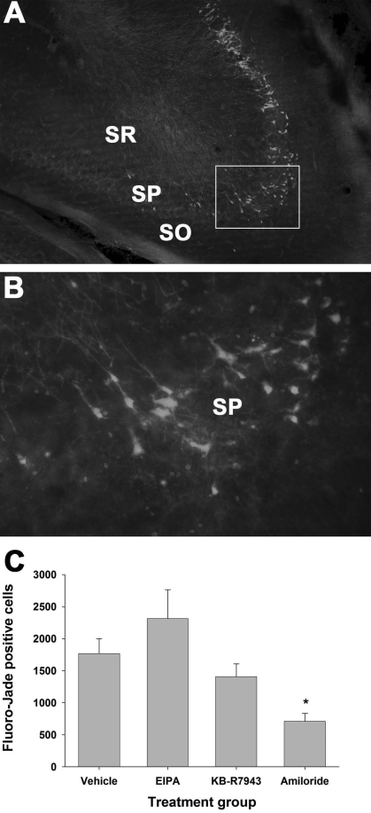 FIG. 5.