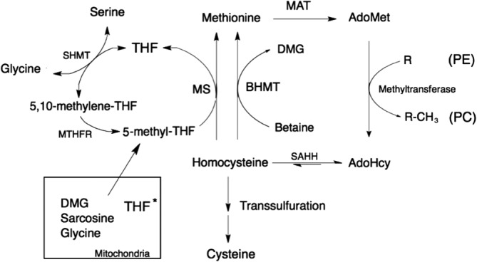 FIG 1