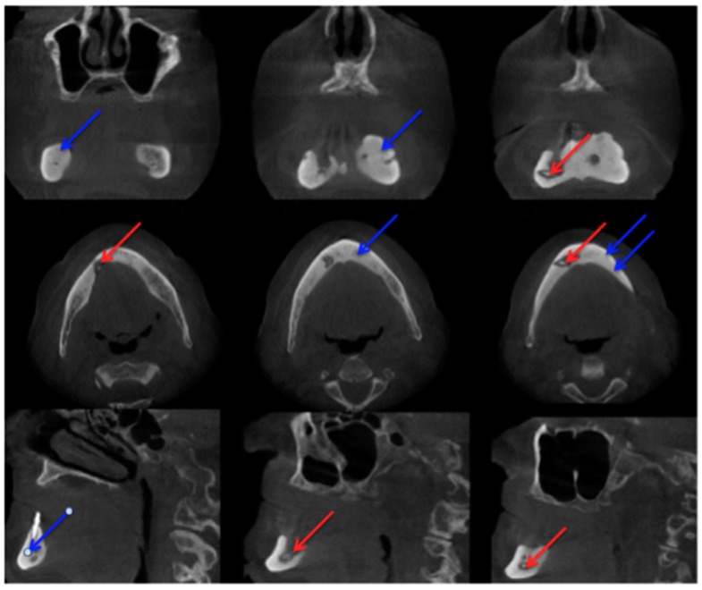 Figure 4