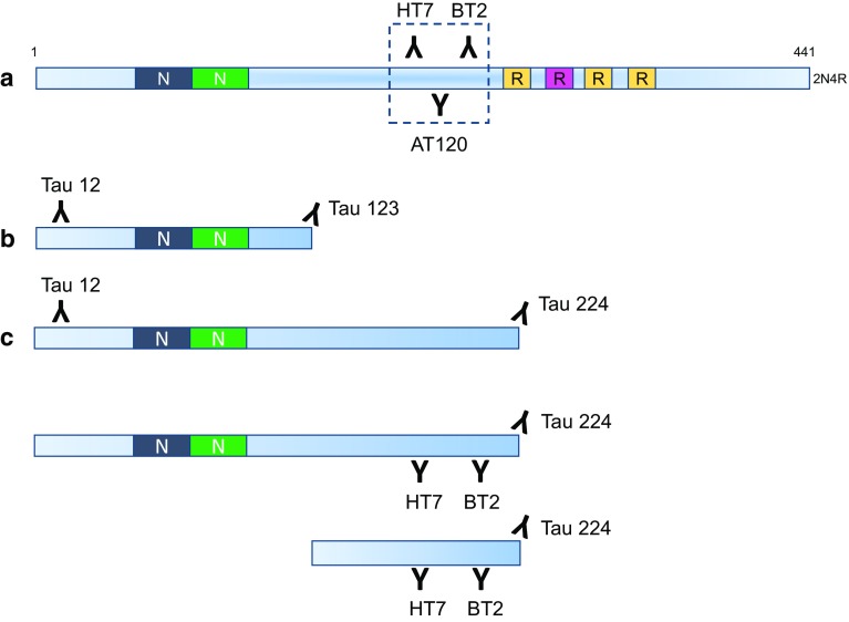 Fig. 1