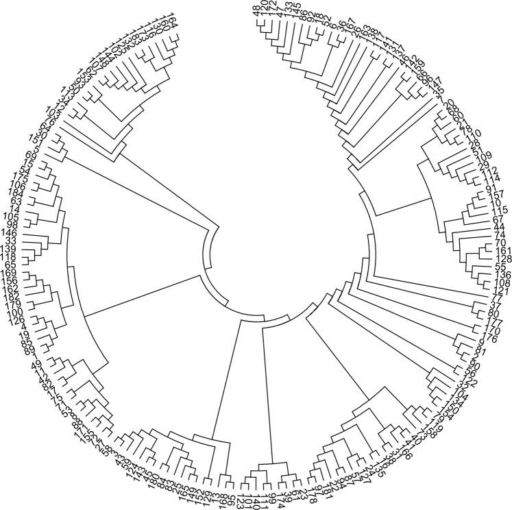 Development And Characterization Of A Duplex Pcr Assay In Chinese 