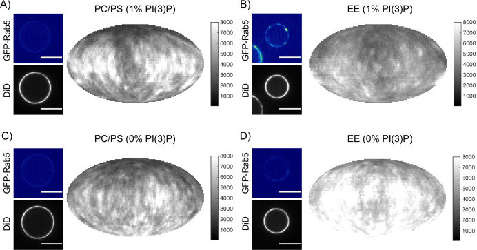 Figure 6—figure supplement 1.