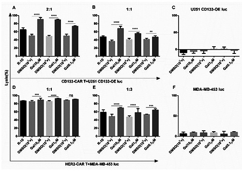 Galunisertib enhances chimeric antigen receptor-modified T cell ...