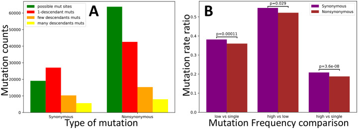 Figure 5: