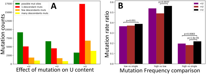 Figure 6: