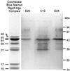 FIG. 6