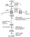FIG. 7