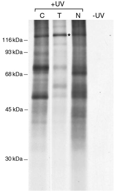 FIG. 6