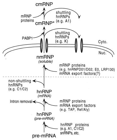 FIG. 7