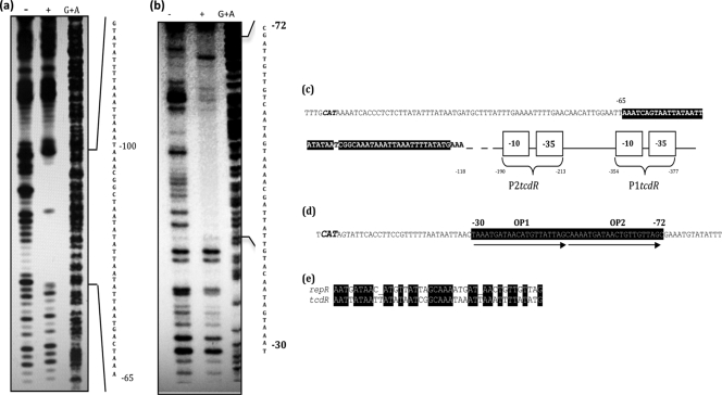 FIG. 7.