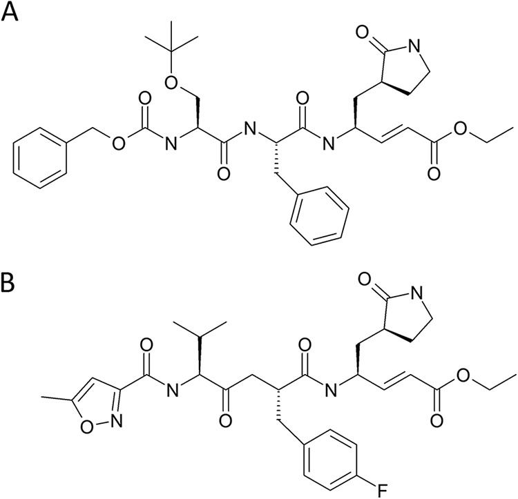 FIG 1