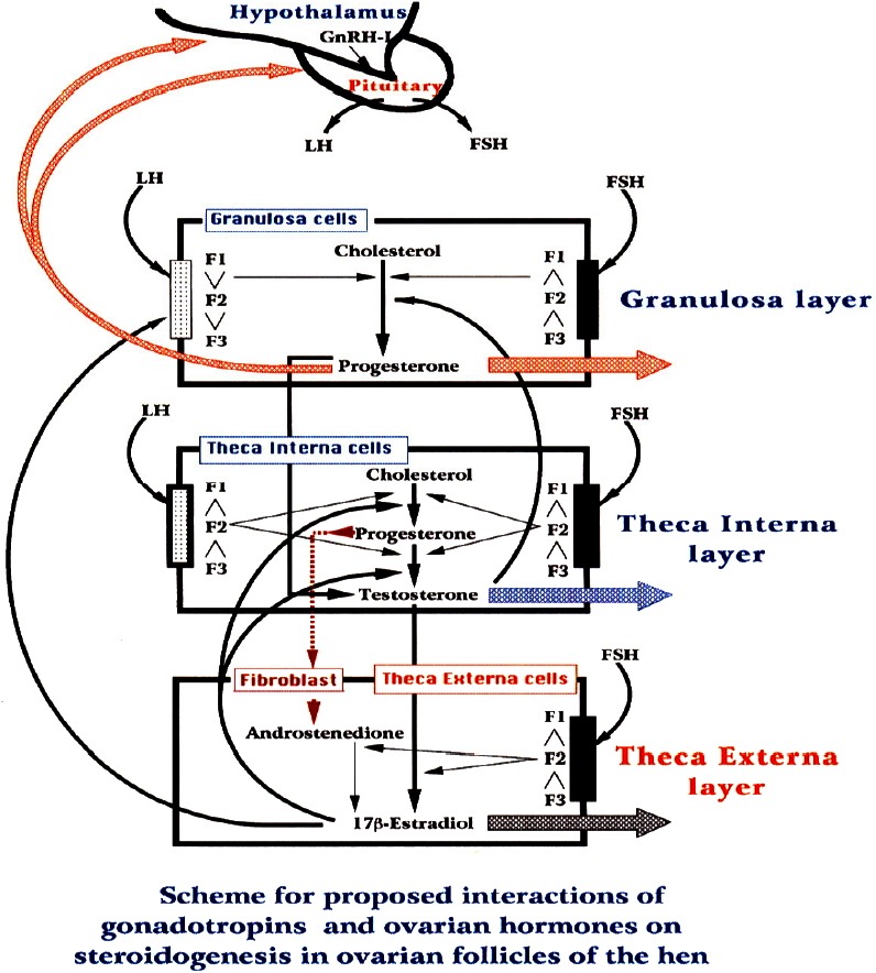 Figure 13