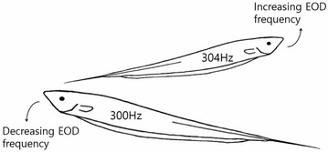 Fig. 10