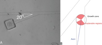 Fig. 16