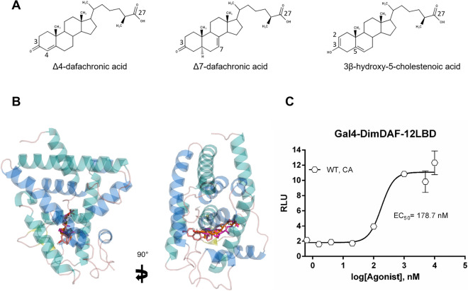 Figure 7