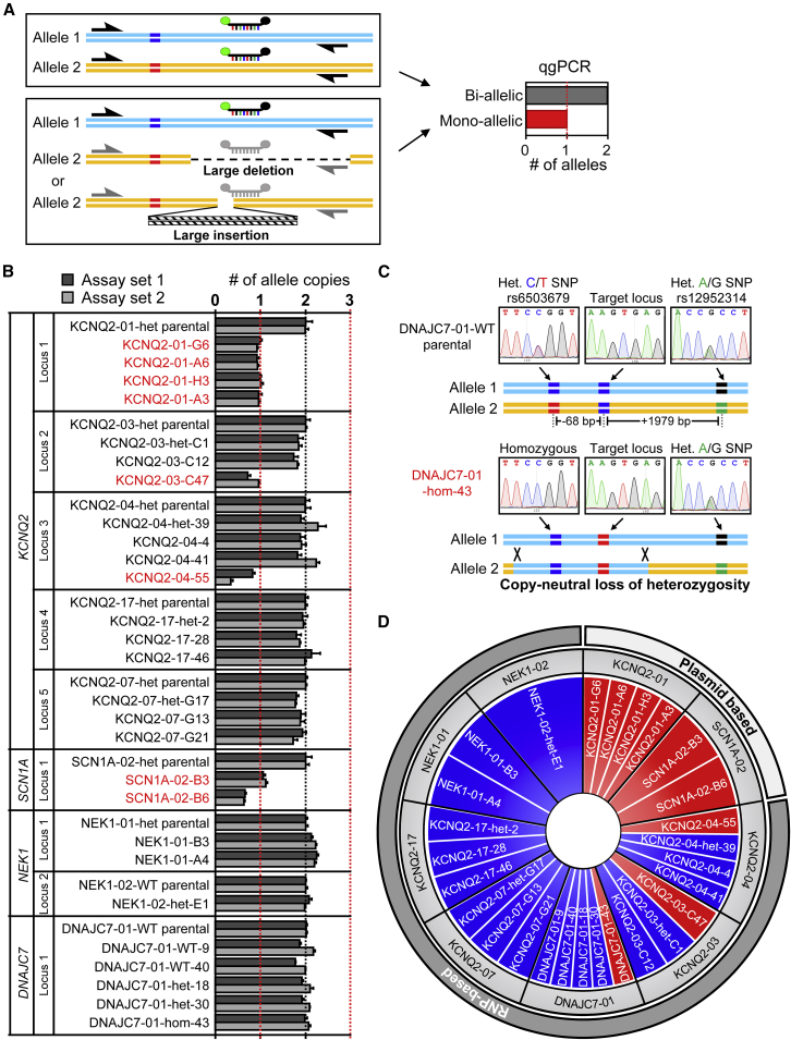 Figure 2